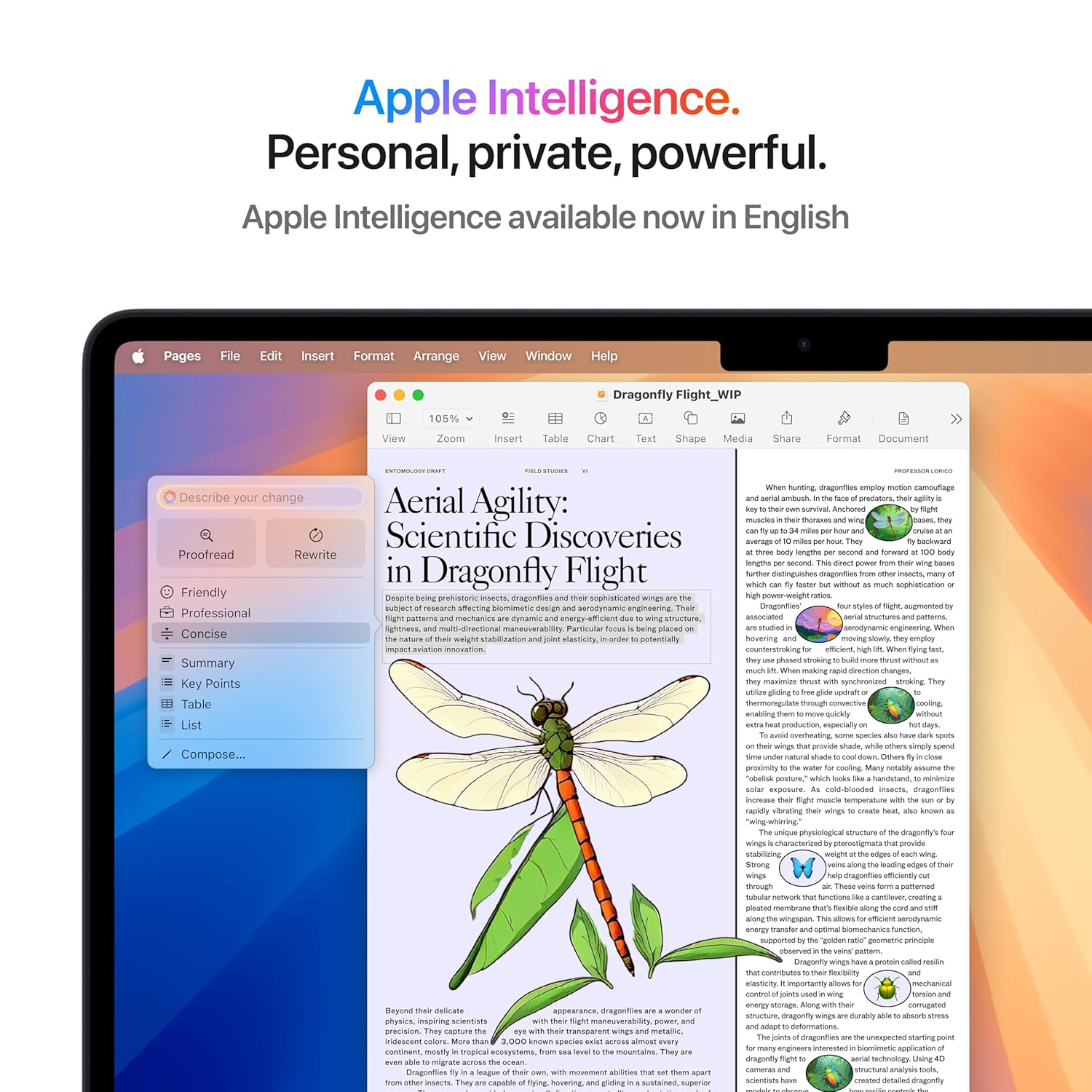 Apple 2025 MacBook Air (13-inch, Apple M4 chip with 10-core CPU and 8-core GPU, 16GB Unified Memory, 256GB) - Midnight